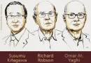 El premio Nobel de Química 2025 fue otorgado a Susumu Kitagawa, Richard Robson y Omar M. Yaghi